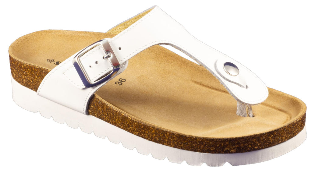 gid://shopify/Product/10737550295367_1