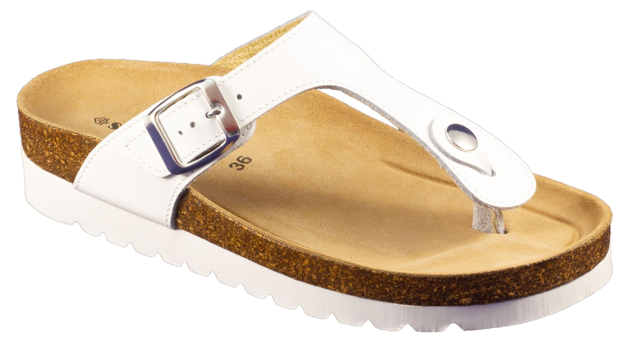 gid://shopify/Product/10737550295367_1