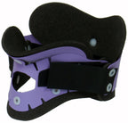 gid://shopify/Product/10741252325703_1