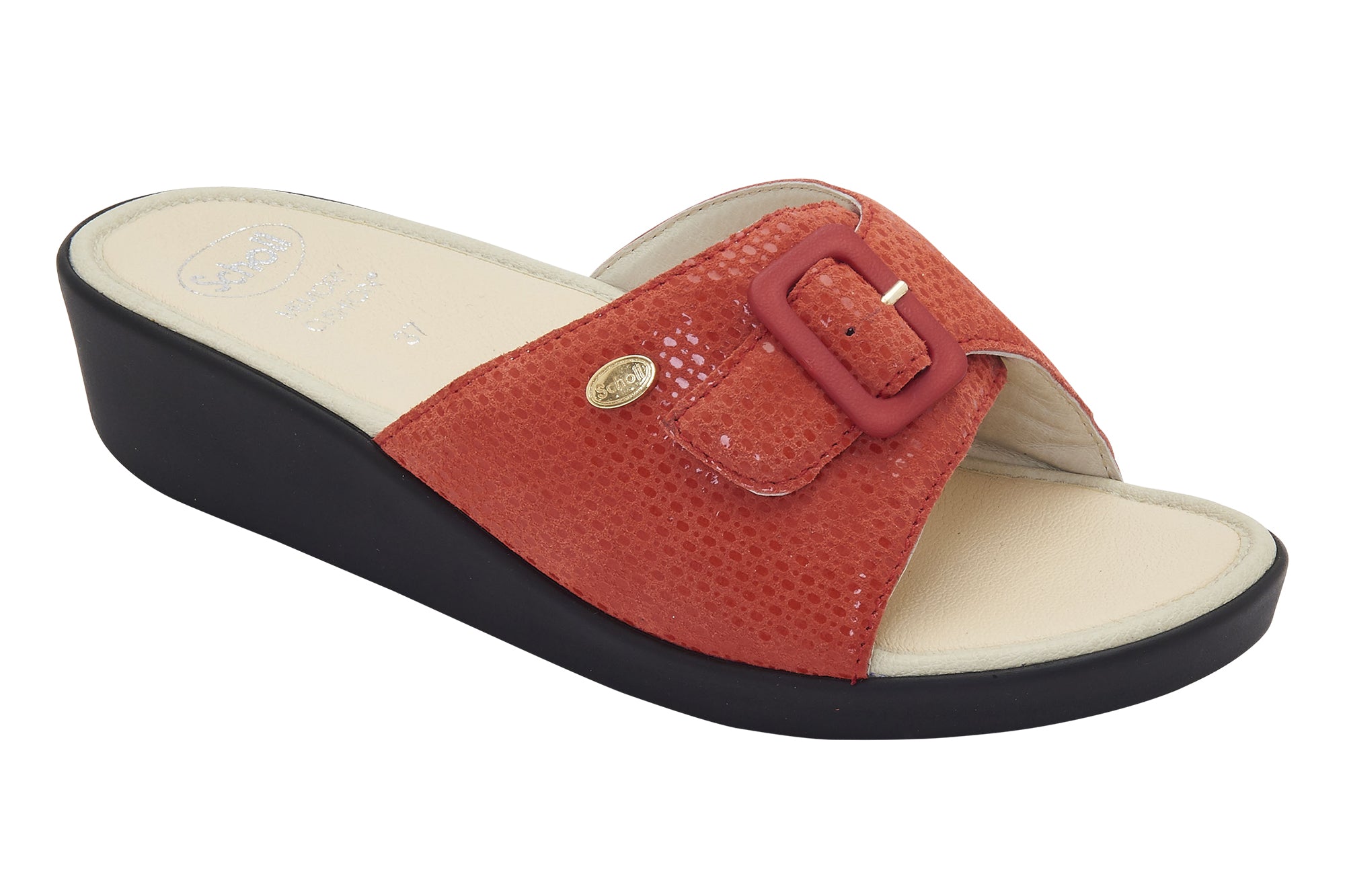 gid://shopify/Product/10749197648199_1