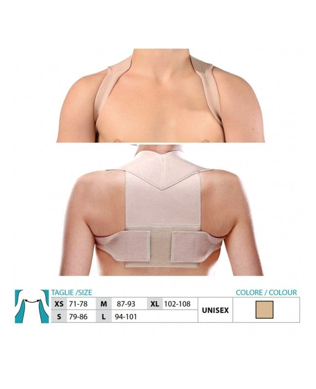 gid://shopify/Product/10731476222279_2