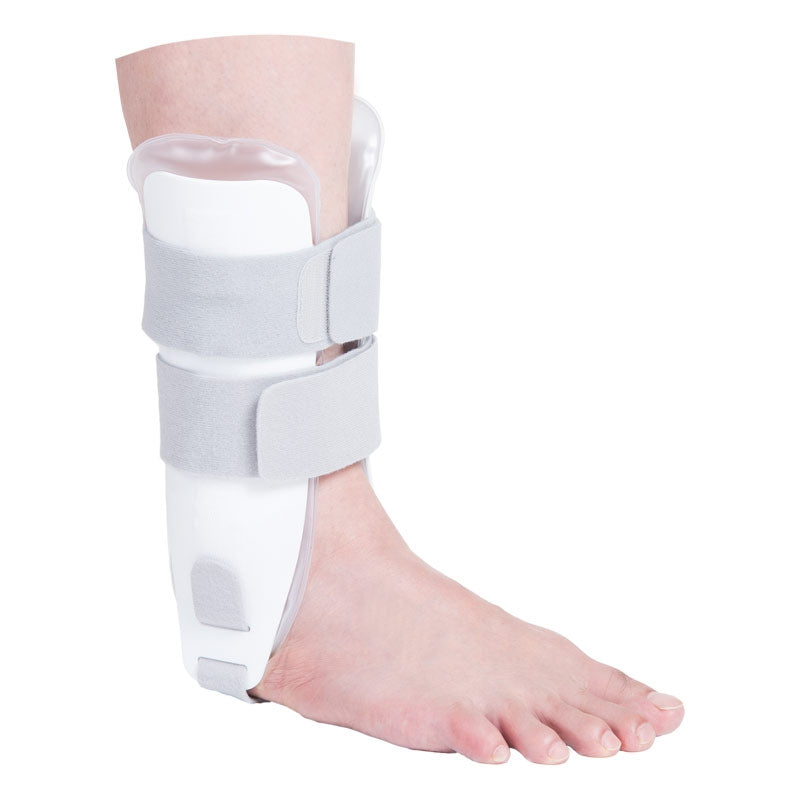 gid://shopify/Product/10735682355527_2