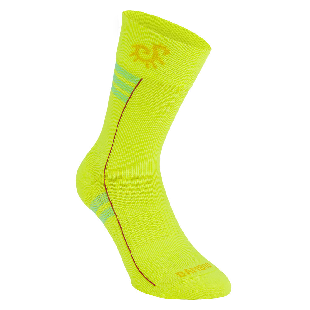 gid://shopify/Product/10738128585031_2