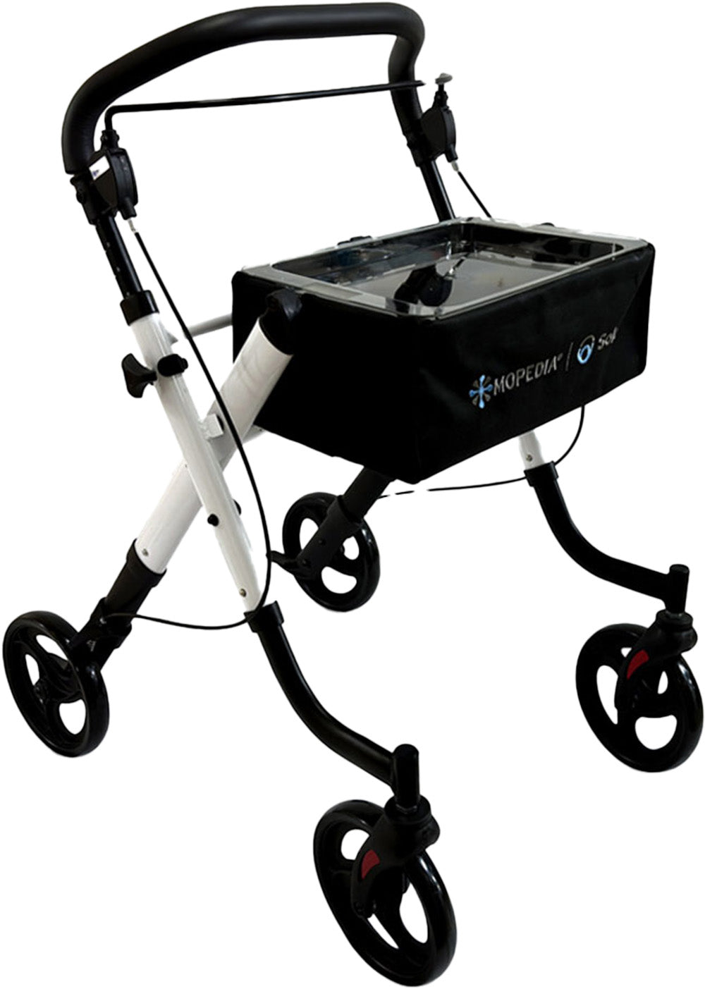 gid://shopify/Product/10742292021575_1