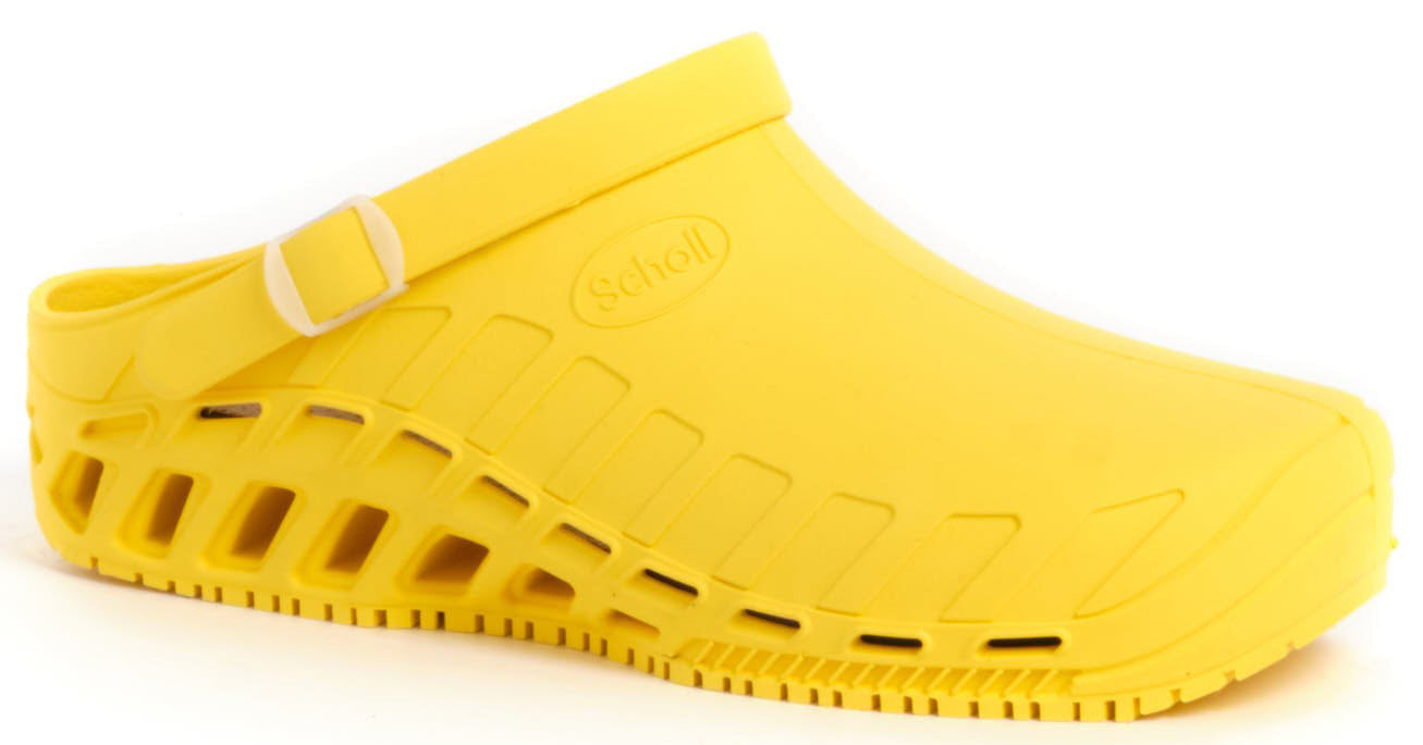 gid://shopify/Product/10767464104263_1