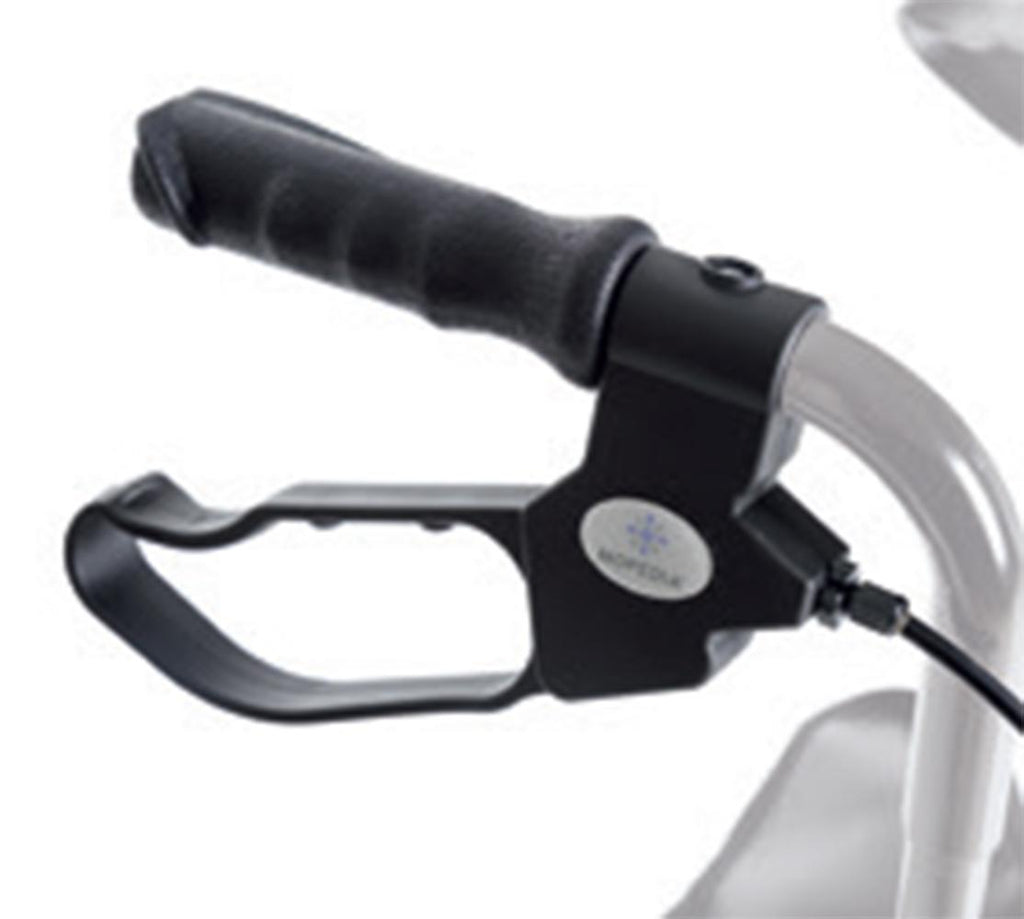 gid://shopify/Product/10737002185031_1
