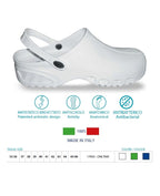gid://shopify/Product/10731308777799_2
