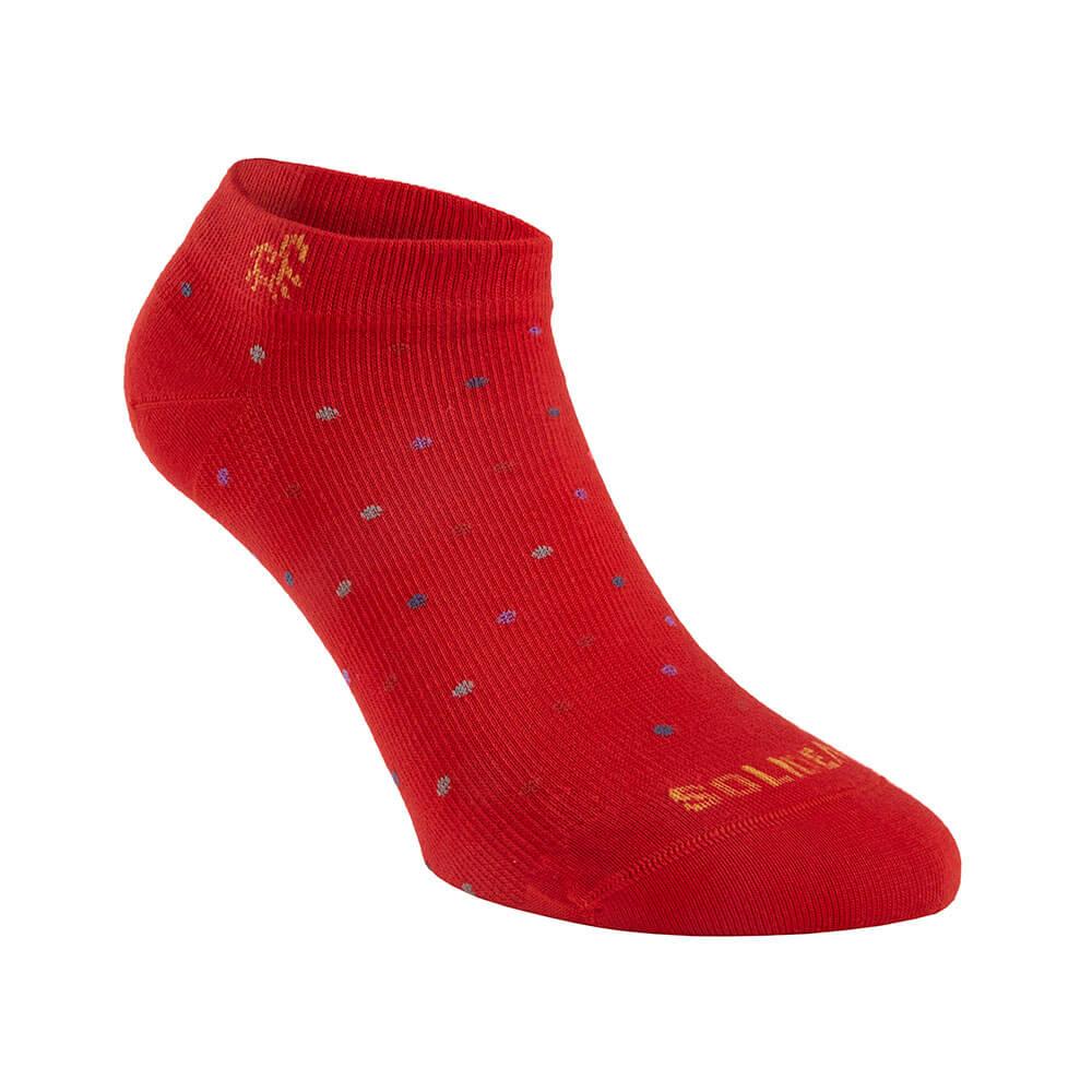 gid://shopify/Product/10738116002119_1