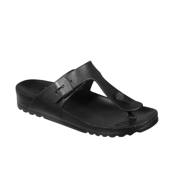 gid://shopify/Product/10767478358343_1