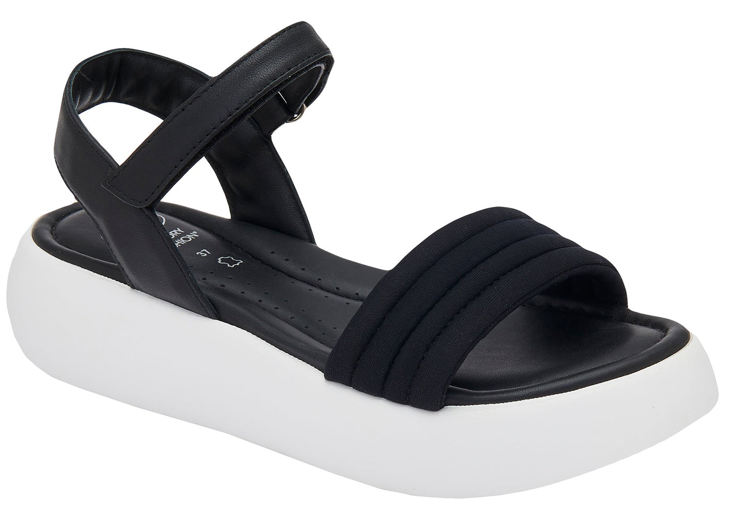 gid://shopify/Product/10749205643591_1