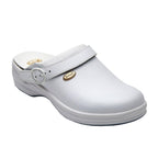 gid://shopify/Product/10734309179719_1