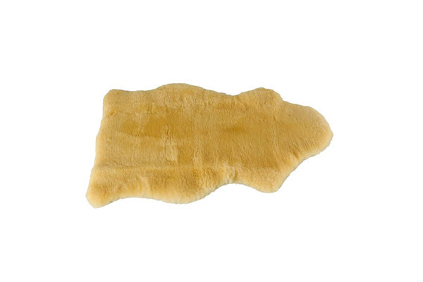 gid://shopify/Product/10748602614087_2