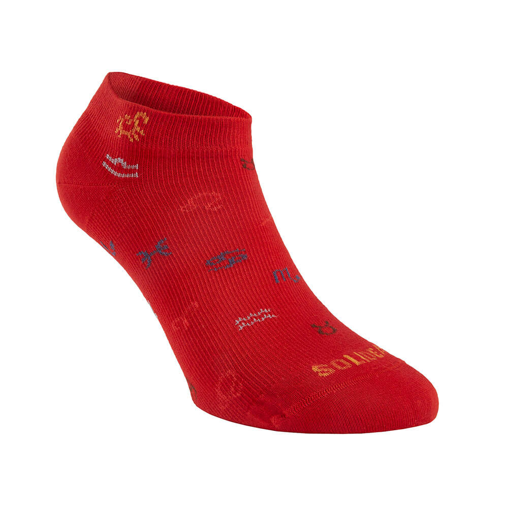 gid://shopify/Product/10738116231495_2