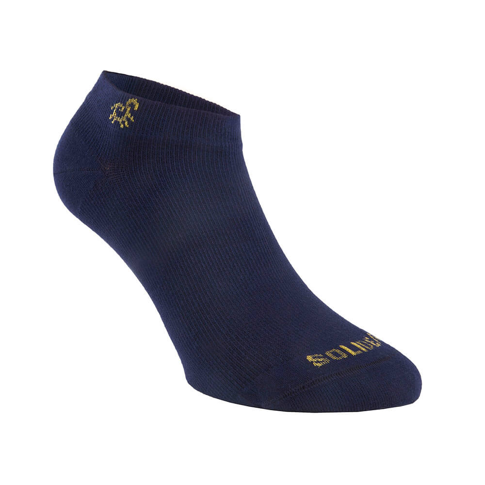 gid://shopify/Product/10738084380999_2