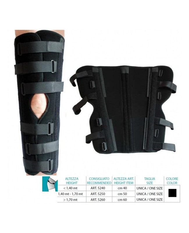 gid://shopify/Product/10732250202439_2