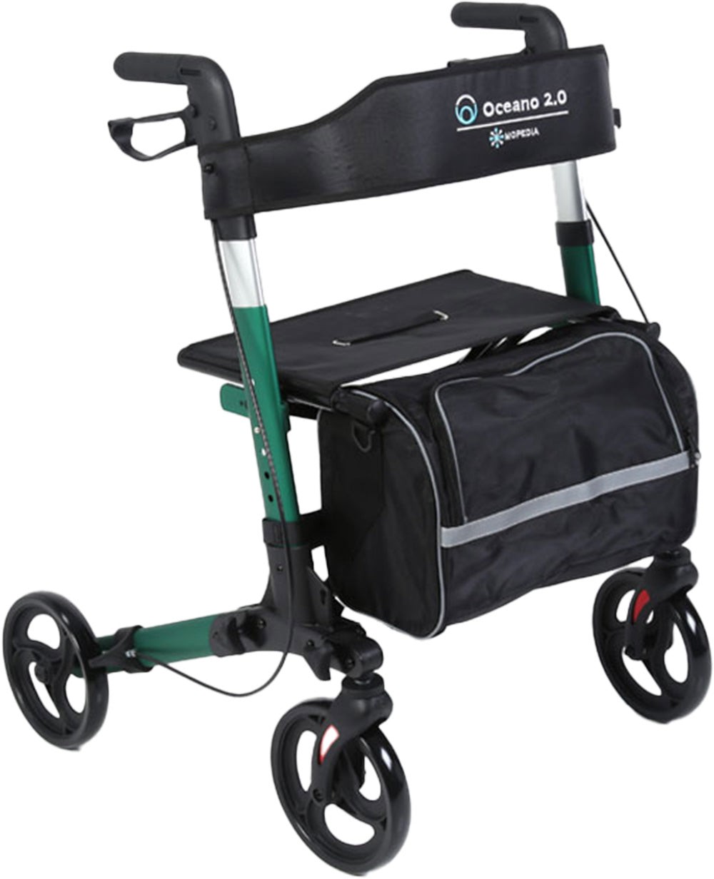 gid://shopify/Product/10742258434375_1