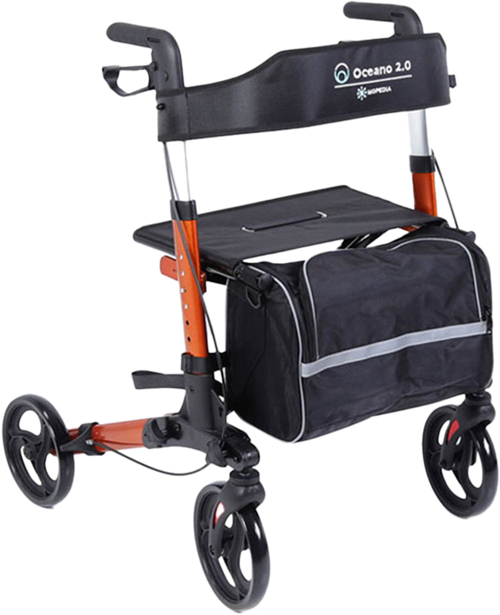gid://shopify/Product/10742258172231_1