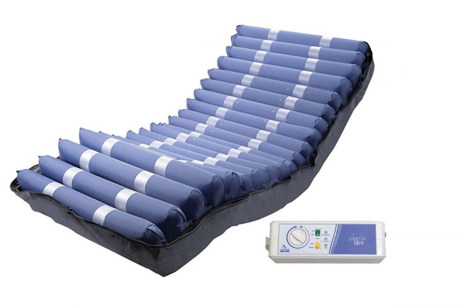 gid://shopify/Product/10737000743239_1