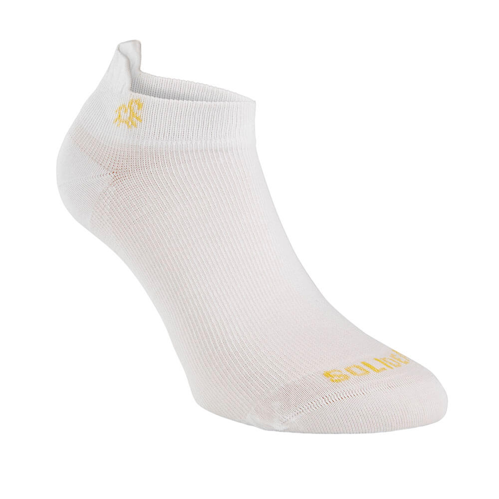gid://shopify/Product/10738060460359_2
