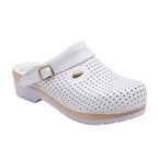 gid://shopify/Product/10769909940551_1