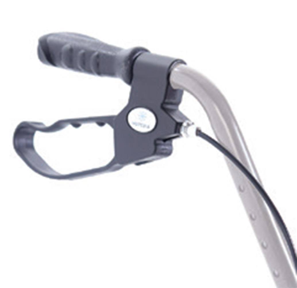 gid://shopify/Product/10738308415815_1