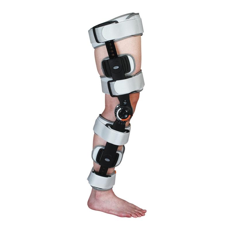 gid://shopify/Product/10734825832775_1