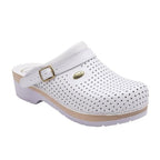 gid://shopify/Product/10734246428999_1