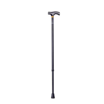 gid://shopify/Product/10748648063303_1