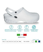 gid://shopify/Product/10731308777799_1