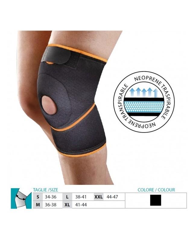 gid://shopify/Product/10732215533895_1